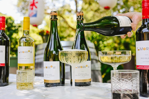 Tomorrow Cellars Wine Tasting